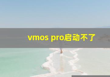 vmos pro启动不了